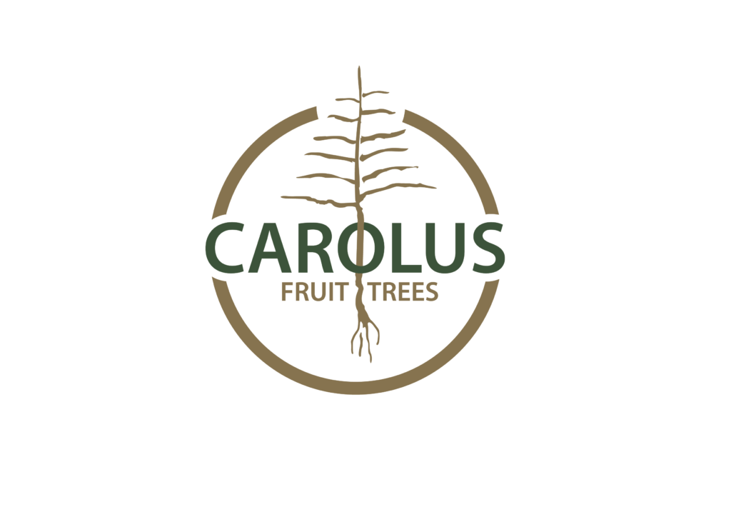 Carolus Trees